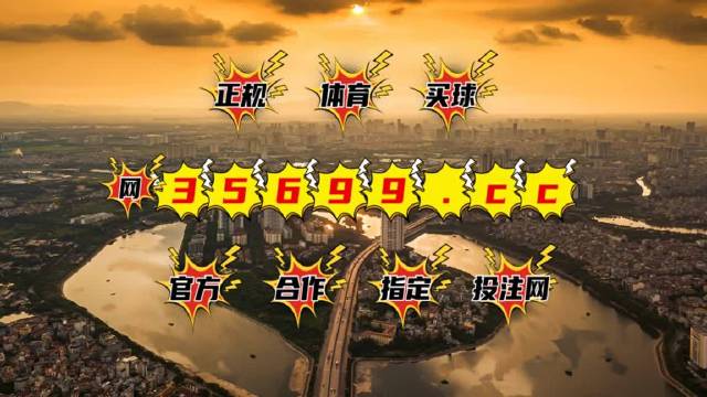 新澳门王中王100%期期中,效率资料解释定义_3K73.452