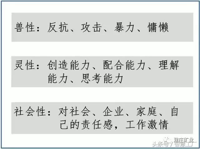 澳门今晚一肖必中特,广泛的解释落实方法分析_经典款27.671