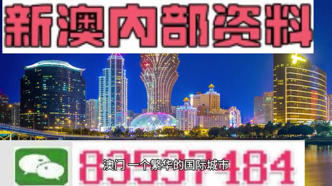 2024新澳门正版免费正题,实际案例解析说明_特别版2.446