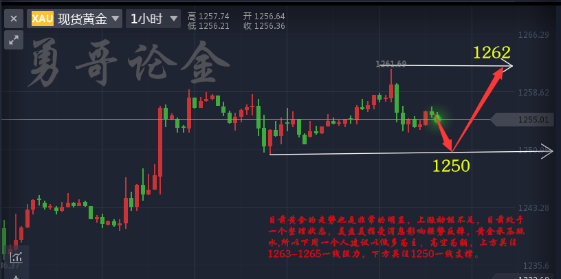 新澳门天天开奖结果｜全面把握解答解释策略